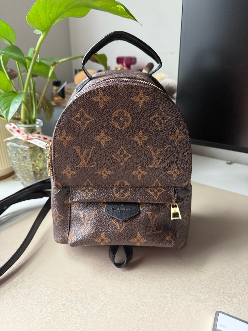 Louis Vuitton Brown Monogram Mini Backpack with Gold Hardware